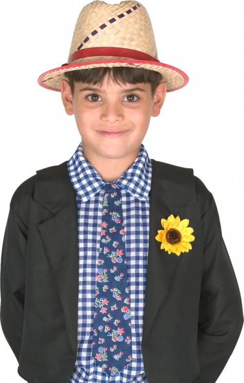 Roupas Juninas Infantil